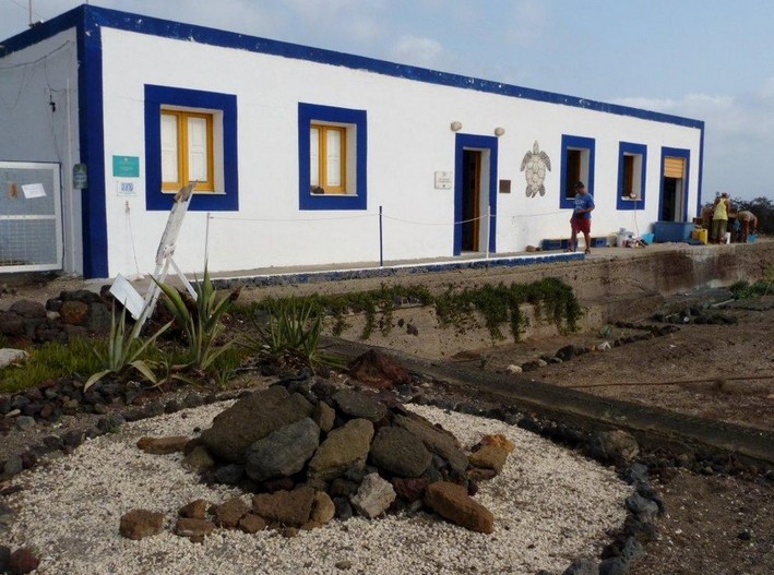 Ricostruiamo il centro tartarughe di Linosa