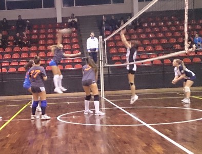Volley