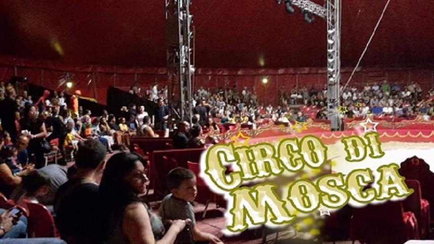Circo